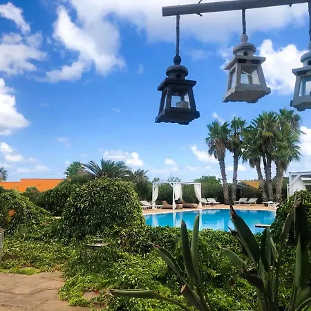Exotic In * Pantelleria