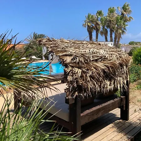 Exotic In Pantelleria